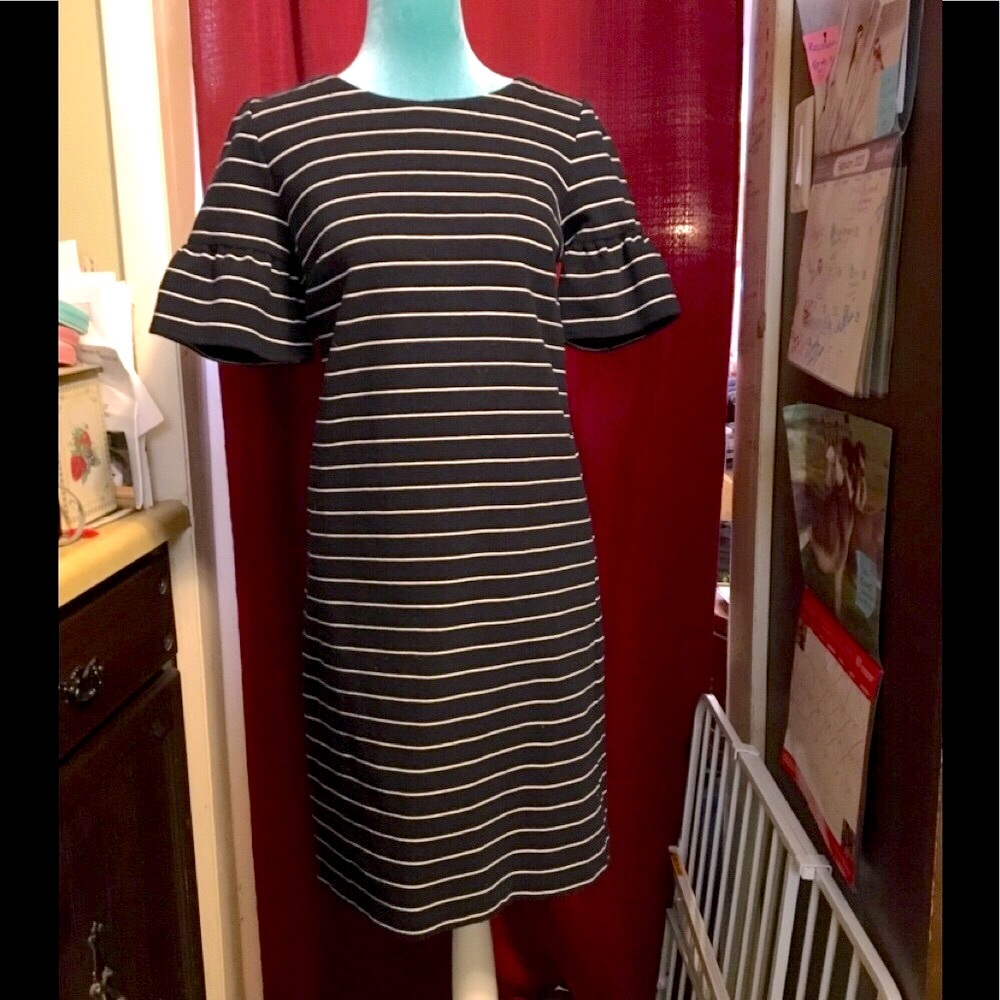 NWT LOFT Classic Navy Striped Dress Bell Ruffle Sleeves Darts at Breast size S
